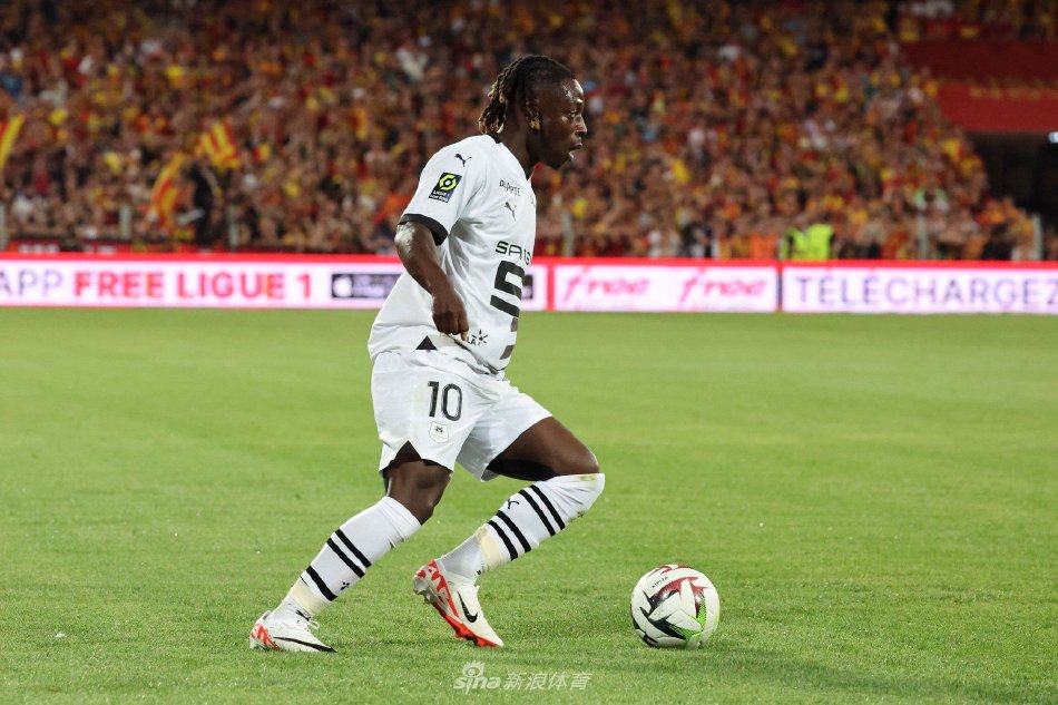 队因常规赛 队因常规赛