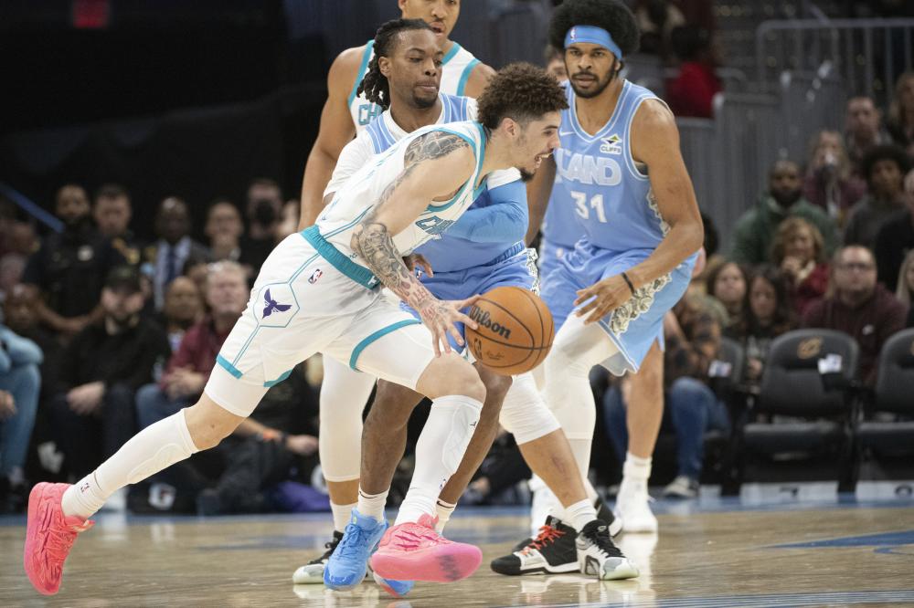 具观赏性和 具观赏性和